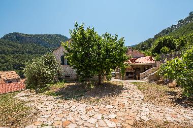 Villa /en/au Pitve (Splitsko-Dalmatinska)ou appartement ou maison de vacances