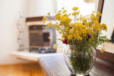 Villa /en/au Pitve (Splitsko-Dalmatinska)ou appartement ou maison de vacances