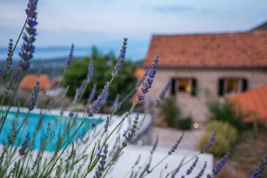 Villa /en/au Pitve (Splitsko-Dalmatinska)ou appartement ou maison de vacances