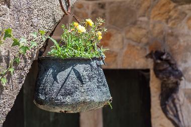 Villa /en/au Pitve (Splitsko-Dalmatinska)ou appartement ou maison de vacances