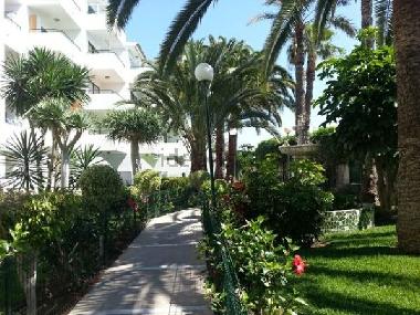 Appartement de vacances /en/au Maspalomas (Gran Canaria)ou appartement ou maison de vacances