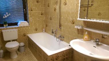 Appartement de vacances /en/au Bad Kissingen (Unterfranken)ou appartement ou maison de vacances