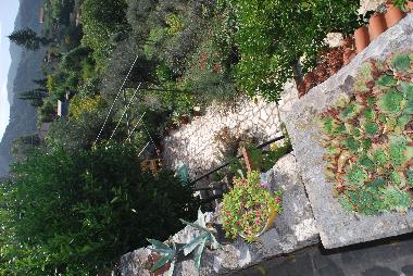 Maison de vacances /en/au Camaiore (Lucca)ou appartement ou maison de vacances