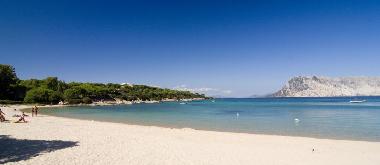 Appartement de vacances �/en/au Olbia (Olbia-Tempio)ou appartement ou maison de vacances