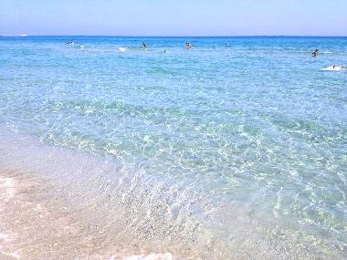 Appartement de vacances �/en/au Olbia (Olbia-Tempio)ou appartement ou maison de vacances