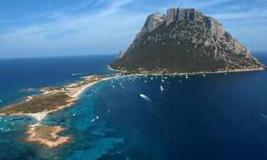 Appartement de vacances �/en/au Olbia (Olbia-Tempio)ou appartement ou maison de vacances