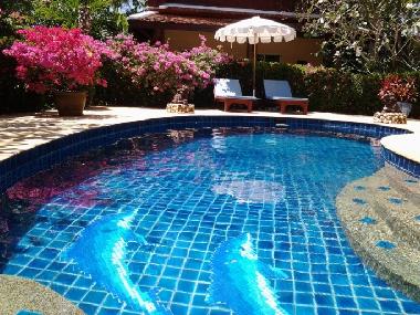 La piscine et le studio independant
