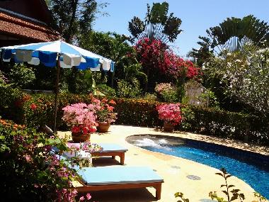 La piscine avec vue sur une partie du jardin