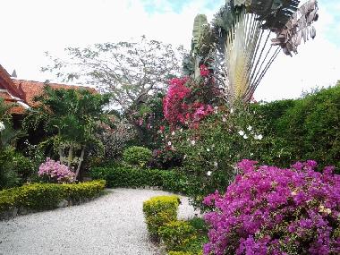Une vue du jardin joliement fleuri