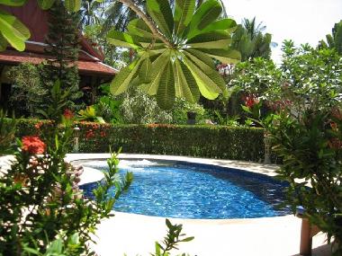 La piscine et son jacuzzi