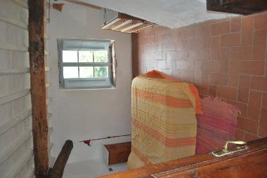 Maison de vacances /en/au Camaiore (Lucca)ou appartement ou maison de vacances