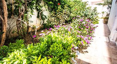 Appartement de vacances �/en/au Mahdia (Al Mahdiyah)ou appartement ou maison de vacances