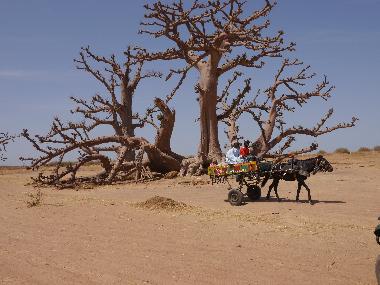 Villa �/en/au nianing (Thies)ou appartement ou maison de vacances