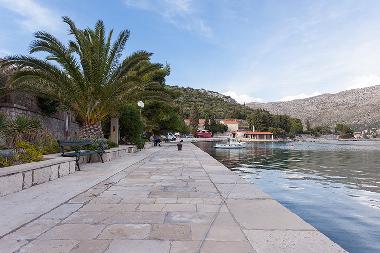 Appartement de vacances /en/au Dubrovnik (Dubrovacko-Neretvanska)ou appartement ou maison de vacances