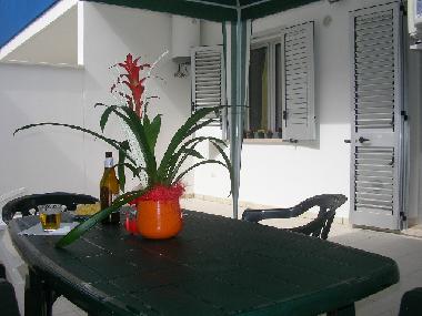 Villa /en/au SANNICOLA - LIDO CONCHIGLIE (Lecce)ou appartement ou maison de vacances