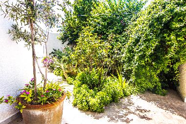 Appartement de vacances �/en/au Mahdia (Al Mahdiyah)ou appartement ou maison de vacances