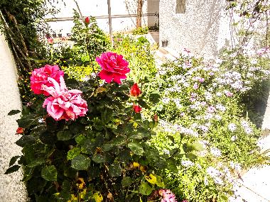 Appartement de vacances �/en/au Tunis (Aryanah)ou appartement ou maison de vacances