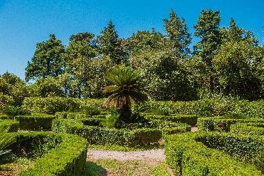 Appartement de vacances �/en/au Dubrovnik (Dubrovacko-Neretvanska)ou appartement ou maison de vacances