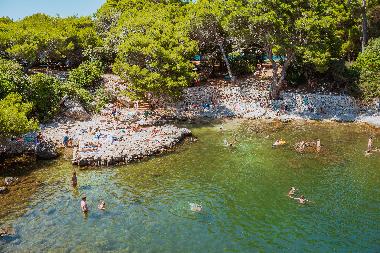 Appartement de vacances �/en/au Dubrovnik (Dubrovacko-Neretvanska)ou appartement ou maison de vacances