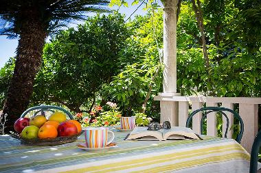 Appartement de vacances �/en/au Dubrovnik (Dubrovacko-Neretvanska)ou appartement ou maison de vacances