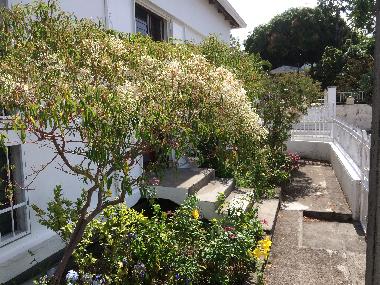 Maison de vacances �/en/au BASSE TERRE (Guadeloupe)ou appartement ou maison de vacances