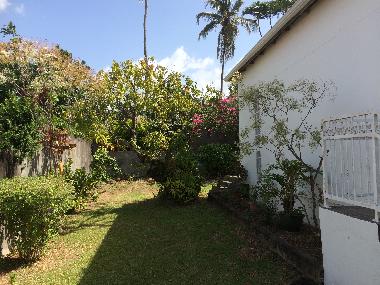 Maison de vacances �/en/au BASSE TERRE (Guadeloupe)ou appartement ou maison de vacances