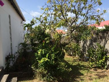 Maison de vacances �/en/au BASSE TERRE (Guadeloupe)ou appartement ou maison de vacances