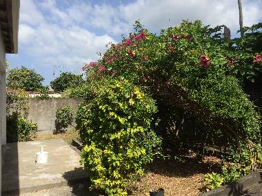 Maison de vacances �/en/au BASSE TERRE (Guadeloupe)ou appartement ou maison de vacances