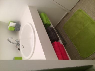 Maison de vacances �/en/au BASSE TERRE (Guadeloupe)ou appartement ou maison de vacances