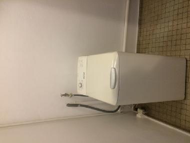 Maison de vacances �/en/au BASSE TERRE (Guadeloupe)ou appartement ou maison de vacances