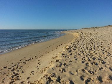 La plage  moins de 10 min  pied!