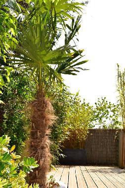 Maison de vacances /en/au Lorient (Morbihan)ou appartement ou maison de vacances