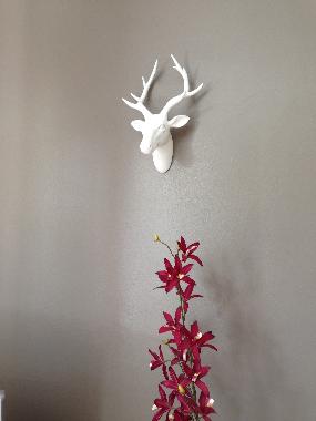 Maison de vacances /en/au Lorient (Morbihan)ou appartement ou maison de vacances