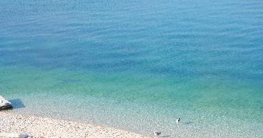 Appartement de vacances �/en/au Arbanija (Splitsko-Dalmatinska)ou appartement ou maison de vacances