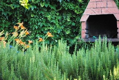 Appartement de vacances �/en/au Arbanija (Splitsko-Dalmatinska)ou appartement ou maison de vacances