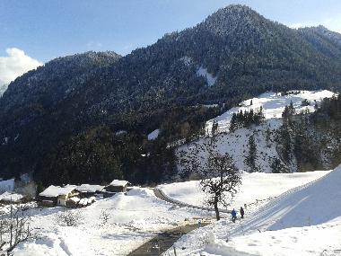 Appartement de vacances /en/au St. Gallenkirch (Bludenz-Bregenzer Wald)ou appartement ou maison de vacances