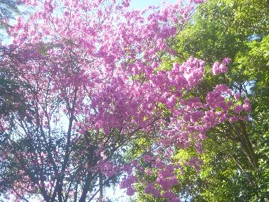 Maison de vacances �/en/au Villeta/Cumbarity (Central)ou appartement ou maison de vacances