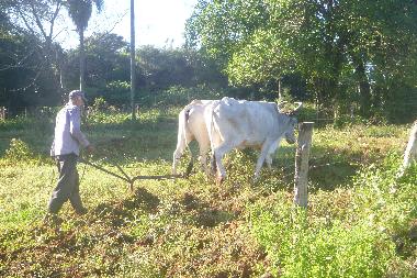 Maison de vacances �/en/au Villeta/Cumbarity (Central)ou appartement ou maison de vacances