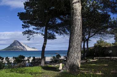 Maison de vacances /en/au Porto San Paolo- Localit Porto Taverna (Olbia-Tempio)ou appartement ou maison de vacances