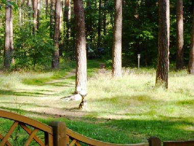 Maison de vacances �/en/au Bad Saarow (Oder-Spree)ou appartement ou maison de vacances