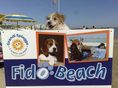 Villa �/en/au SAN MAURO MARE (Rimini)ou appartement ou maison de vacances