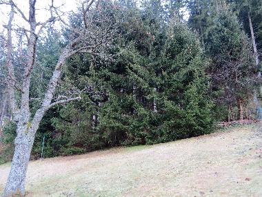 Maison de vacances /en/au Ratten (stliche Obersteiermark)ou appartement ou maison de vacances