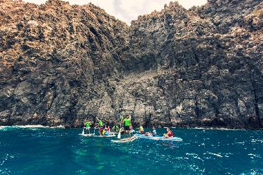 Chambre avec petit djeuner /en/au Santa Cruz de Tenerife (Teneriffa)ou appartement ou maison de vacances
