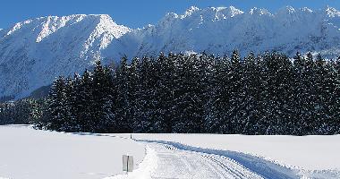 Maison de vacances /en/au Bad Mitterndorf (Liezen)ou appartement ou maison de vacances