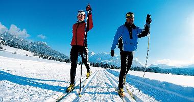 Maison de vacances /en/au Bad Mitterndorf (Liezen)ou appartement ou maison de vacances