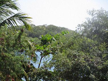 Maison de vacances �/en/au FORT DE FRANCE (Martinique)ou appartement ou maison de vacances