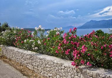 Appartement de vacances /en/au Povlja (Splitsko-Dalmatinska)ou appartement ou maison de vacances