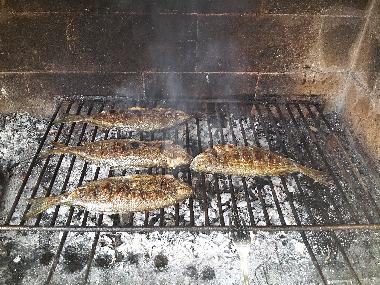 Appartement de vacances �/en/au Povlja (Splitsko-Dalmatinska)ou appartement ou maison de vacances