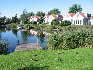 Maison de vacances /en/au Makkum (Friesland)ou appartement ou maison de vacances