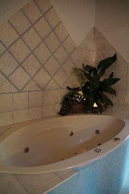 Maison de vacances /en/au Schladming (Westliche Obersteiermark)ou appartement ou maison de vacances